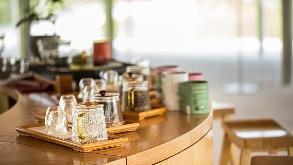 Journey Into the World of Tea | White and Green Teas