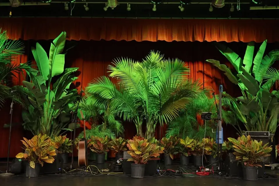 Heartbeat of Aloha