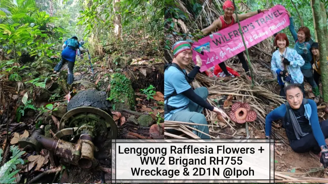 ✅Explore Rafflesia Flower 5km & WW2 RH755 Wreckage 6km Hike + 2D1N@Ipoh