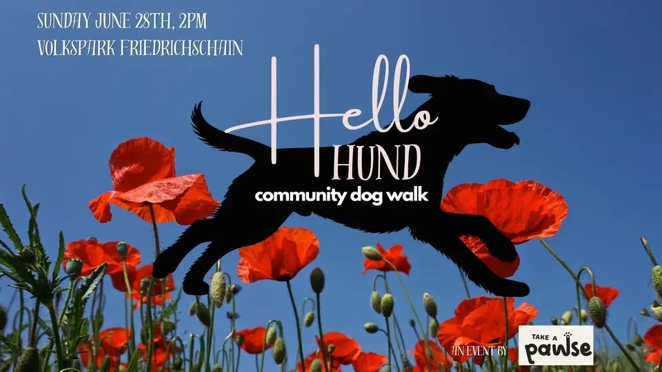 Hello Hund! Community Dog Walk