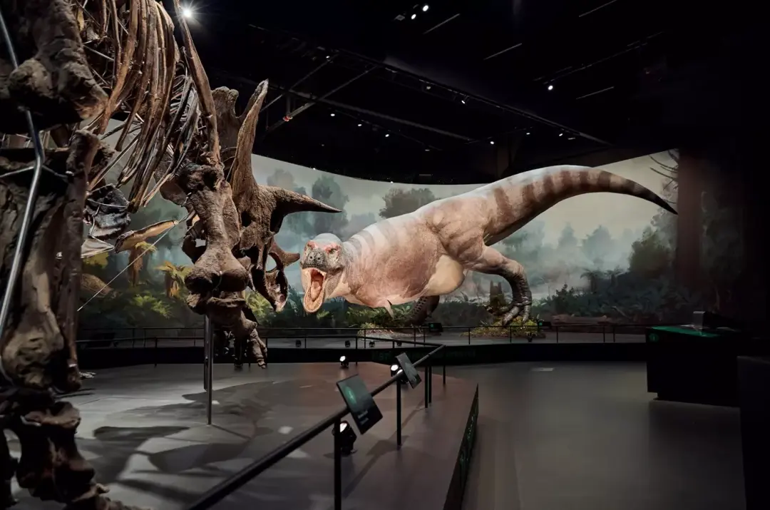 Zahájení léta v Dinosauria Museum Prague