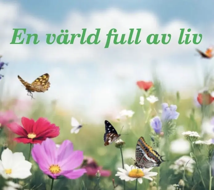 En värld full av liv