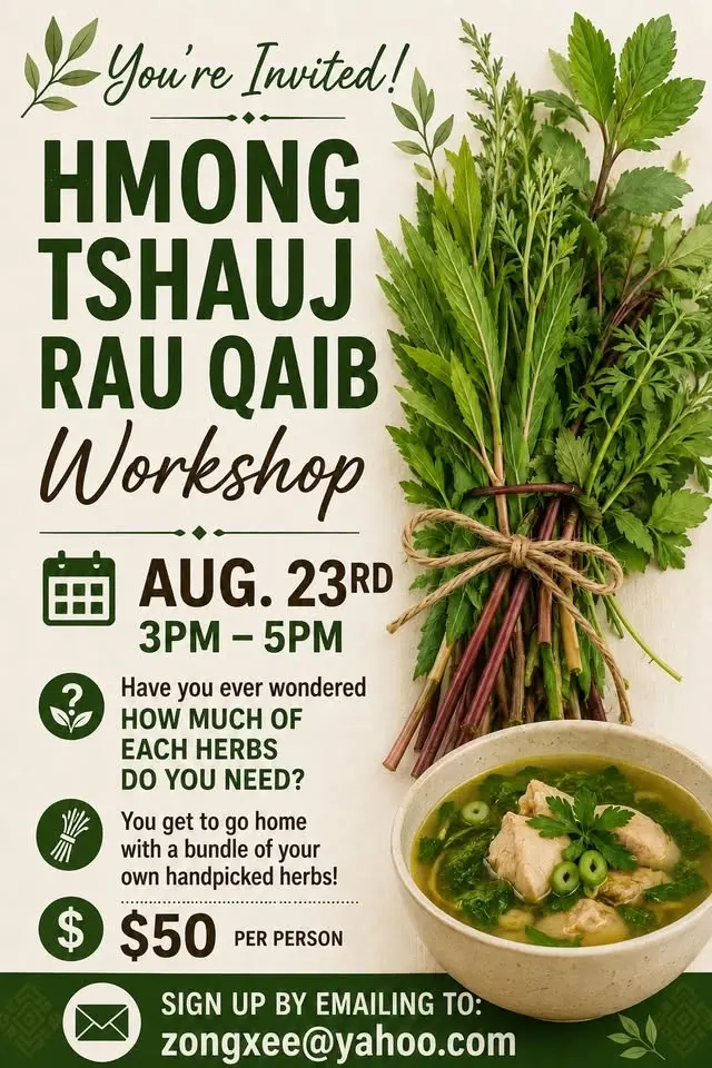 HOW TO HARVEST TSHUAJ RAU QAIB. 