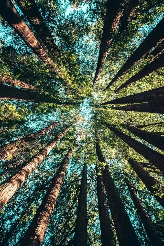 An Embodied Journey into Grounded Expansion 