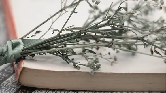 The unit and the whole: how to construct your poetry pamphlet