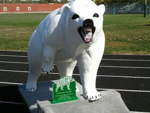 2026 Polar Bear Open