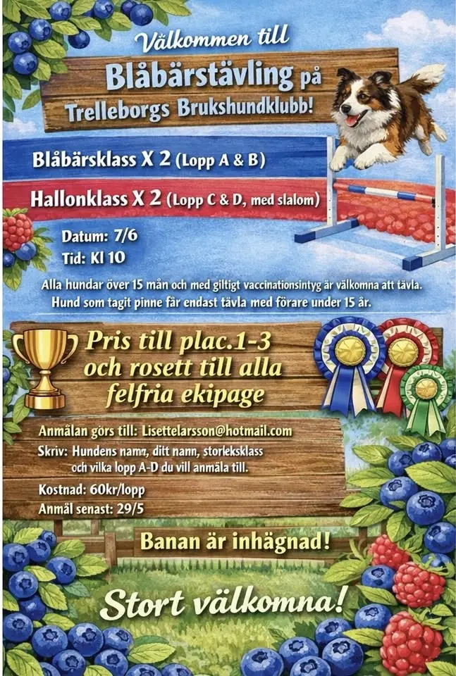 Blåbärstävling TBK 7/6
