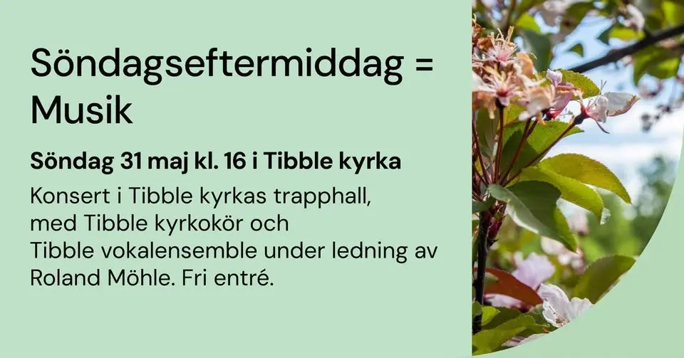 Söndagseftermiddag = Musik