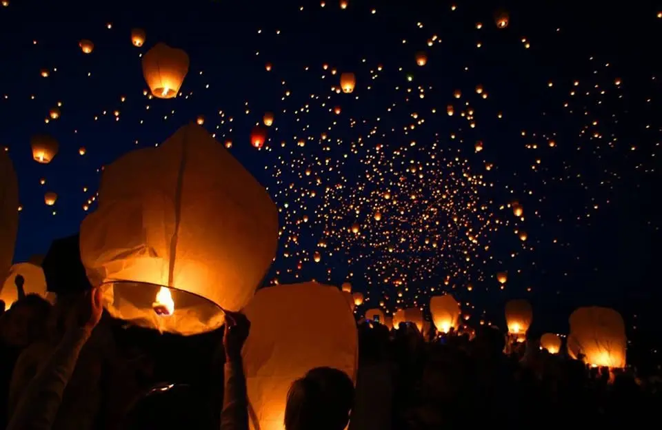 🎈CANTOYA FEST 2026🎈