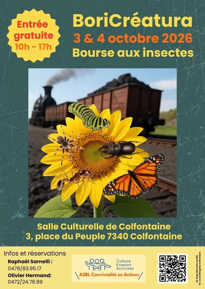 Boricréatura: exposition d'entomologie - Bourse aux insectes