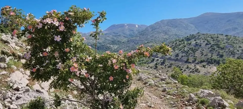 טיול ברכס החרמון
