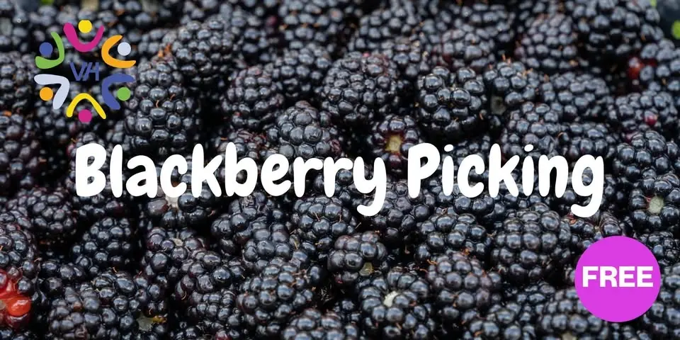 Blackberry Picking