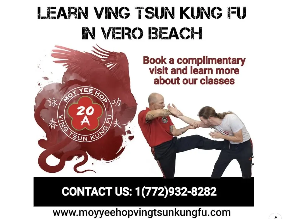 Moy Yee Hop Ving Tsun Kung Fu w/ James
