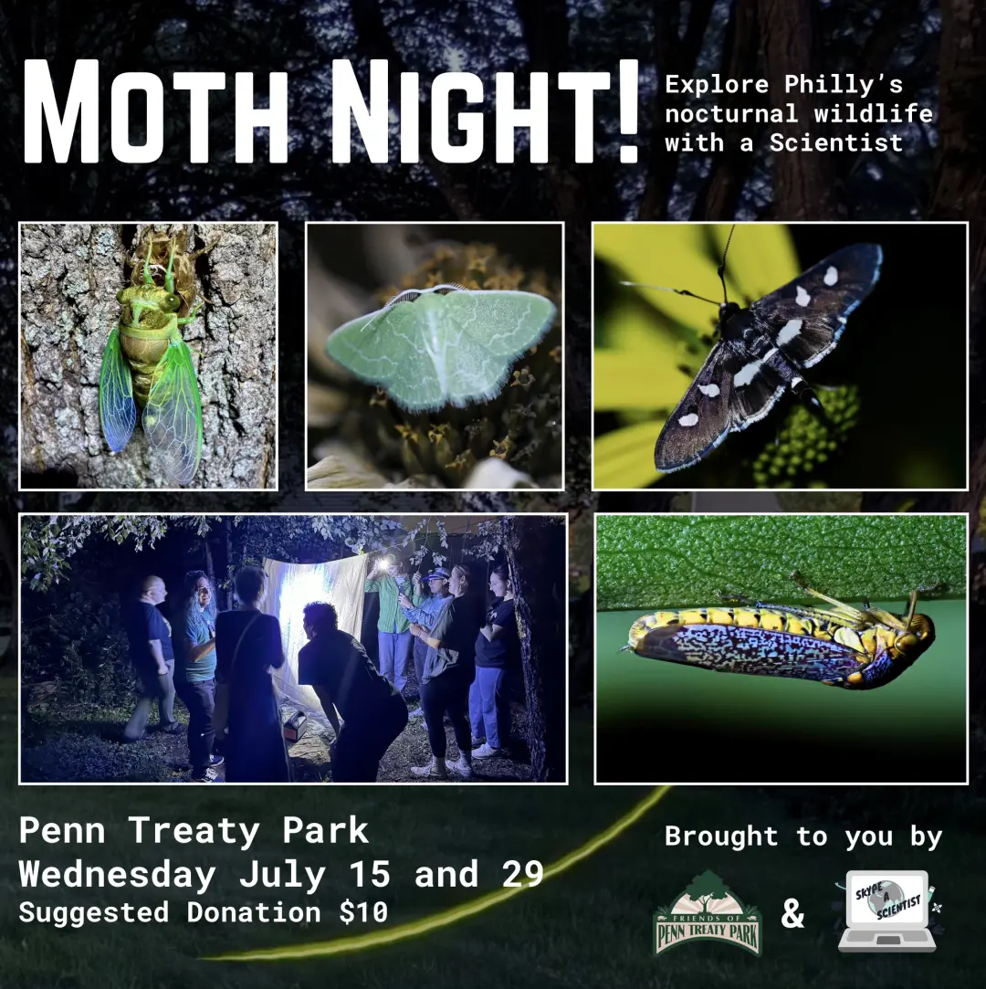 Moth Night at Penn Treaty Park