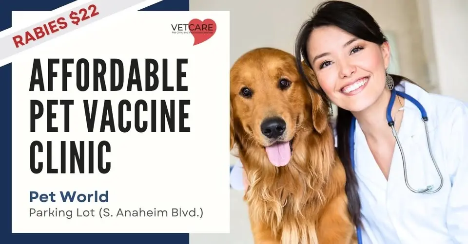 Affordable Pet Vaccine Clinic - Pet World