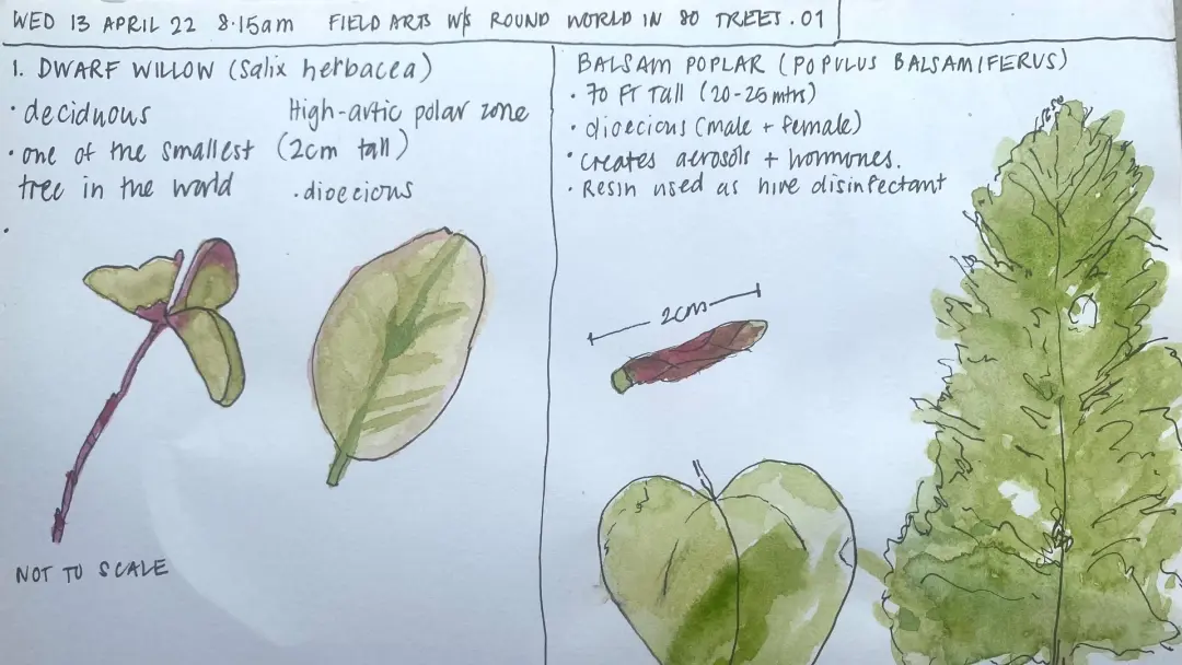 July Meetup for the Sydney Nature Journal Club