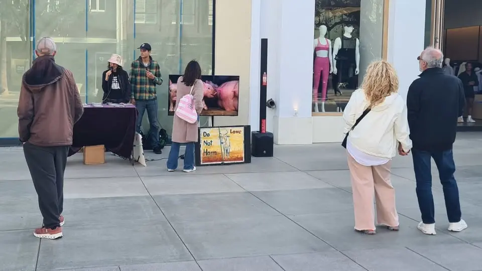 NICE Video Outreach at Santa Monica Promenade