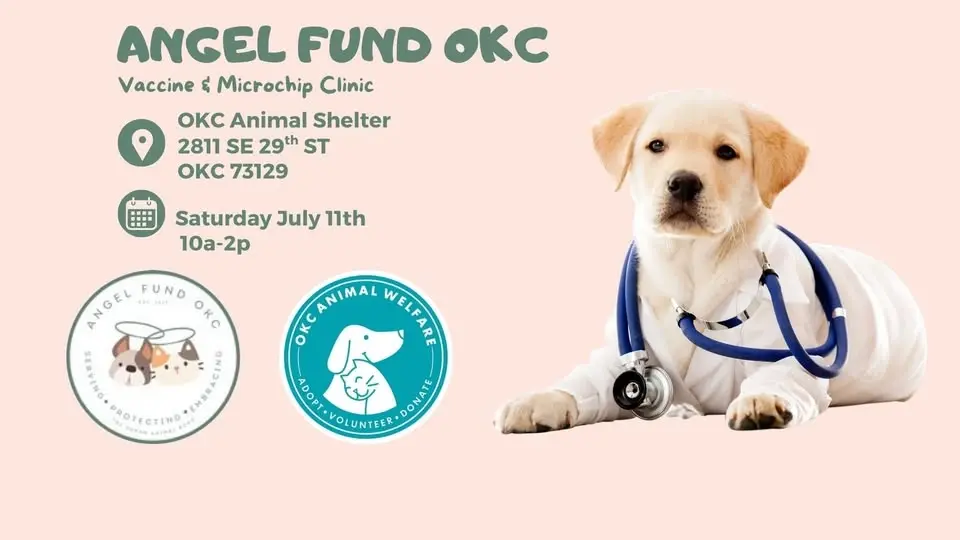 Low Cost Vaccine & Microchipping Clinic