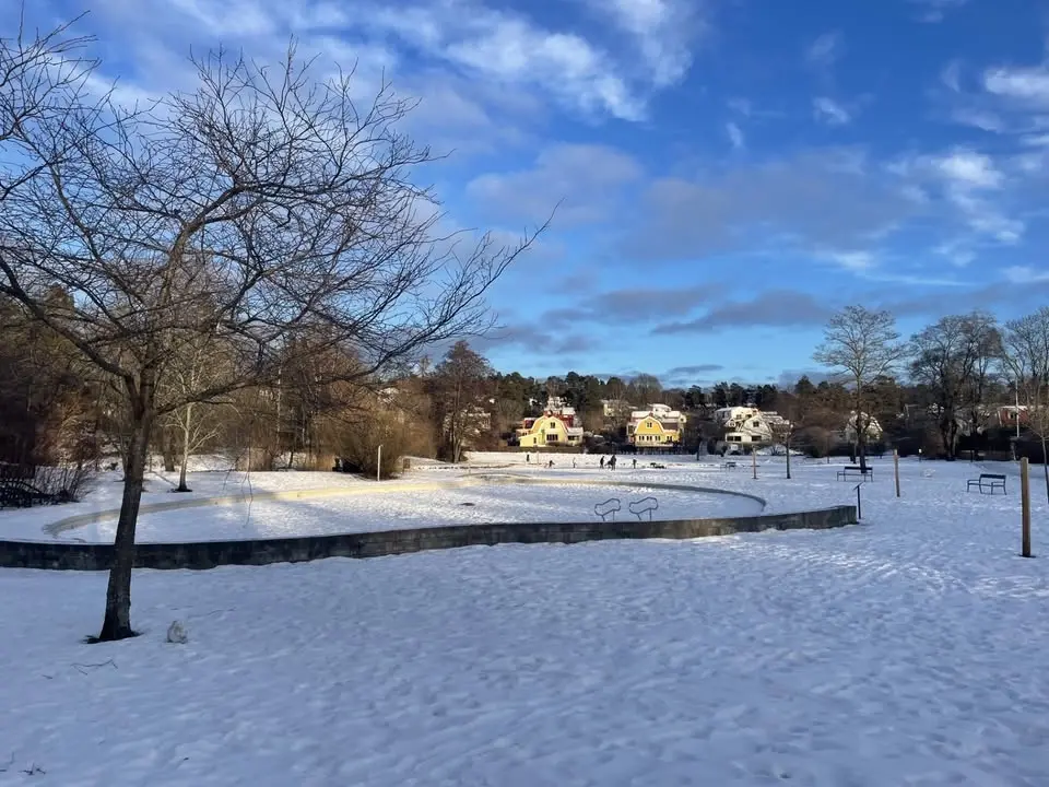 OTF Julgransplundring - NY AKTIVITET
