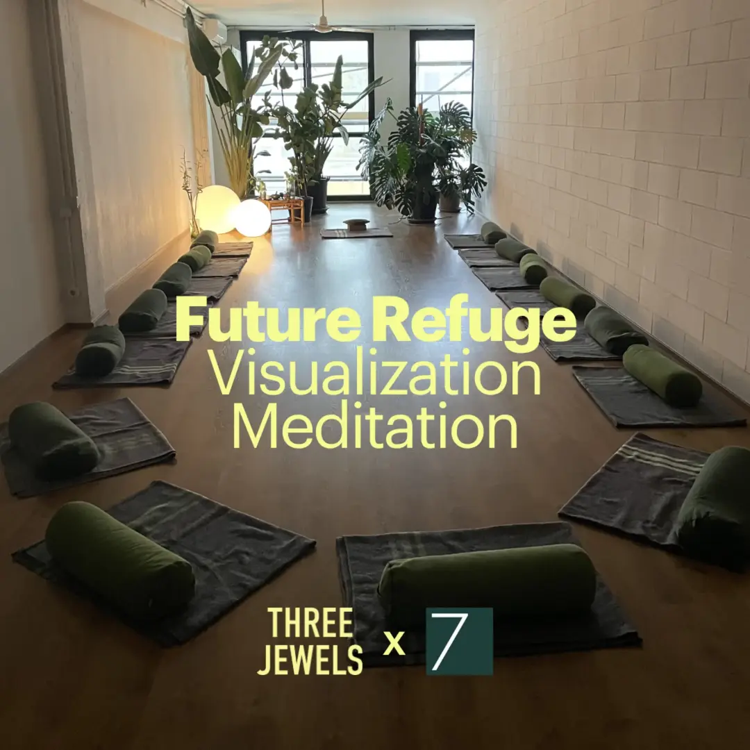 Future Refuge: Visualization Meditation Class