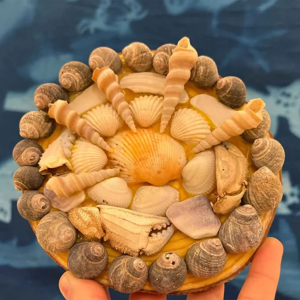 Friday Afternoon Drop-In Art: Seashell Mosaics