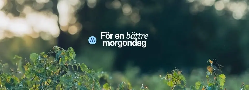 Synlighetskampanj