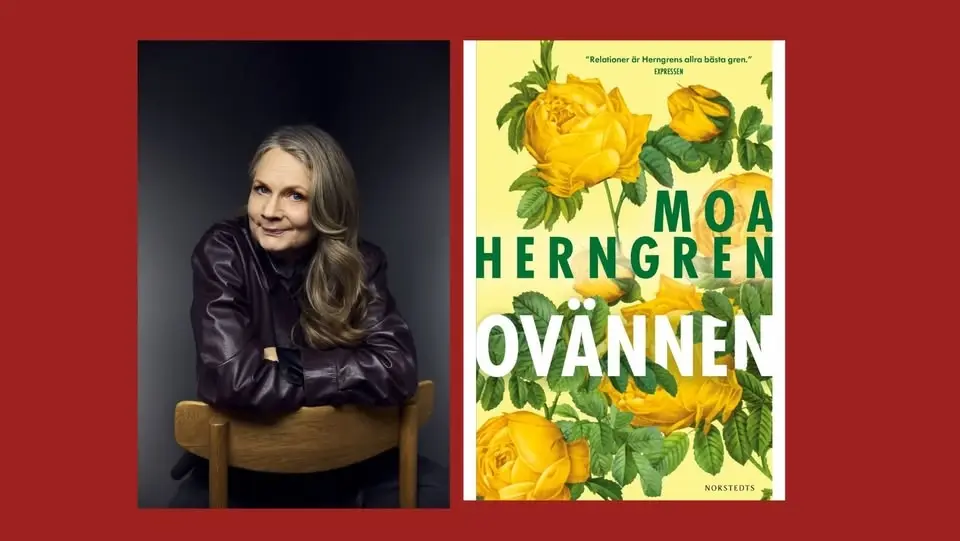 Författarsamtal med Moa Herngren