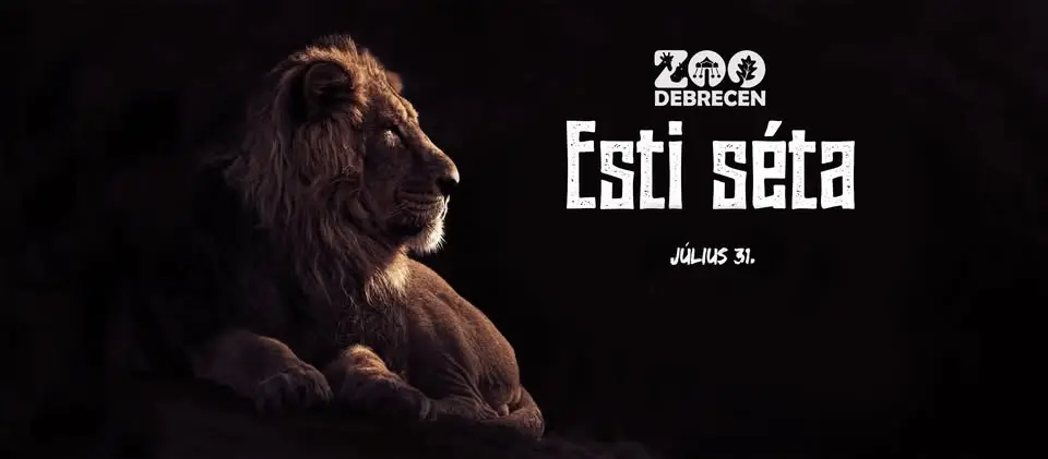 Esti séta IV.