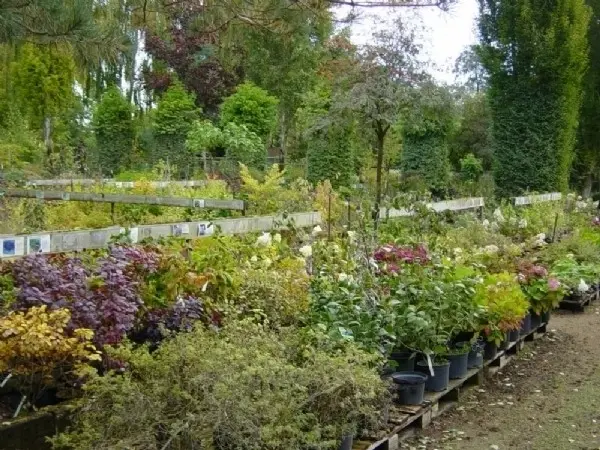 Havevandring i Planteskolen Guldbjergs private have.
