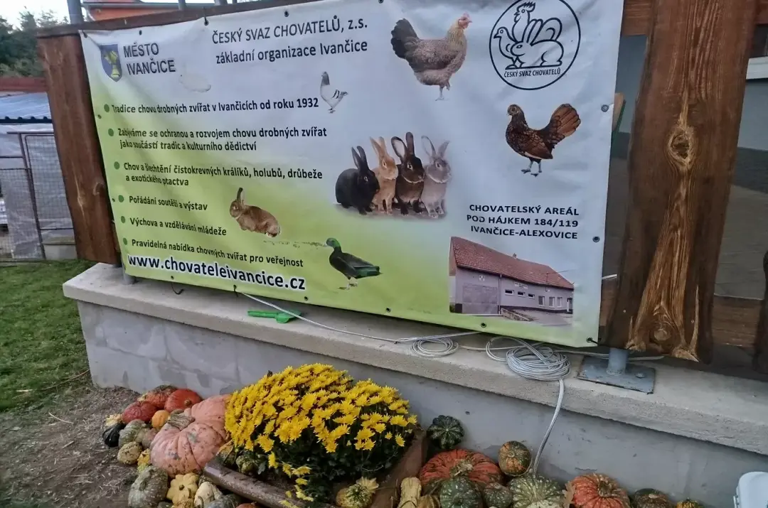 Pouťová výstava drobných zvířat v Ivančicích