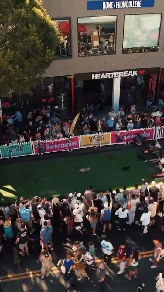 DAY OF THE DOG - SANTA MONICA