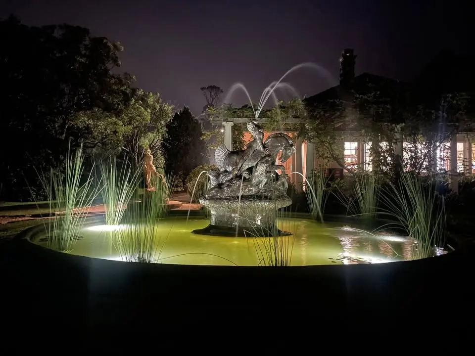 Stargazing at Norman Lindsay Gallery