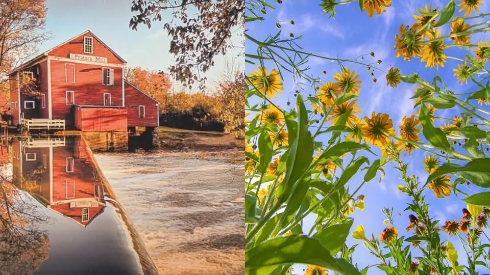 Gallery Opening Reception: Carpet Capital Camera Club | Jessica Waters