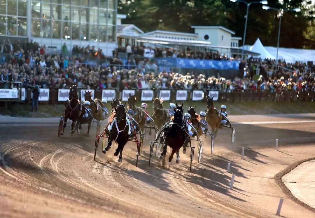 Sundsvall Open Trot 2026