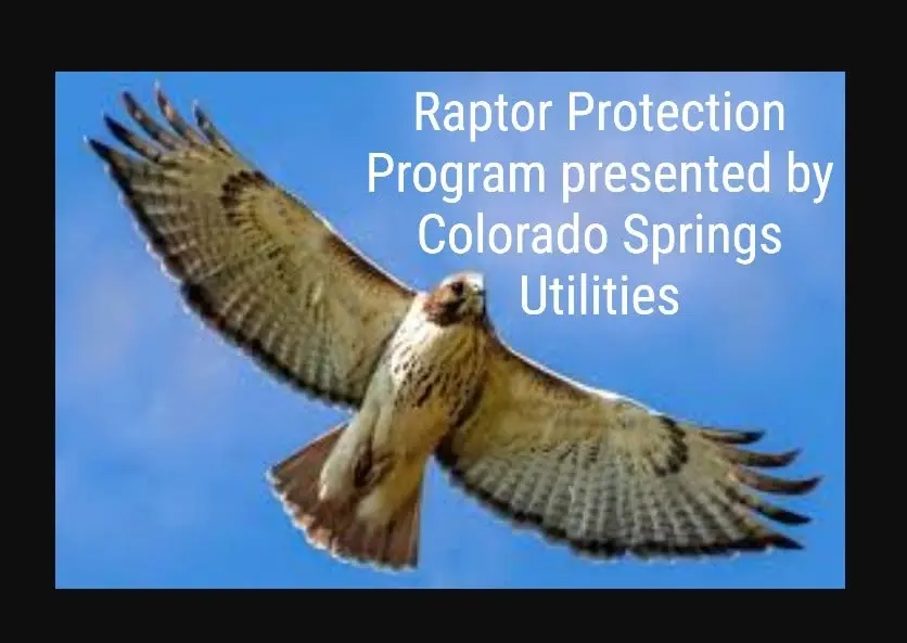 Raptor Protection Program presented by Colorado Springs Utilities