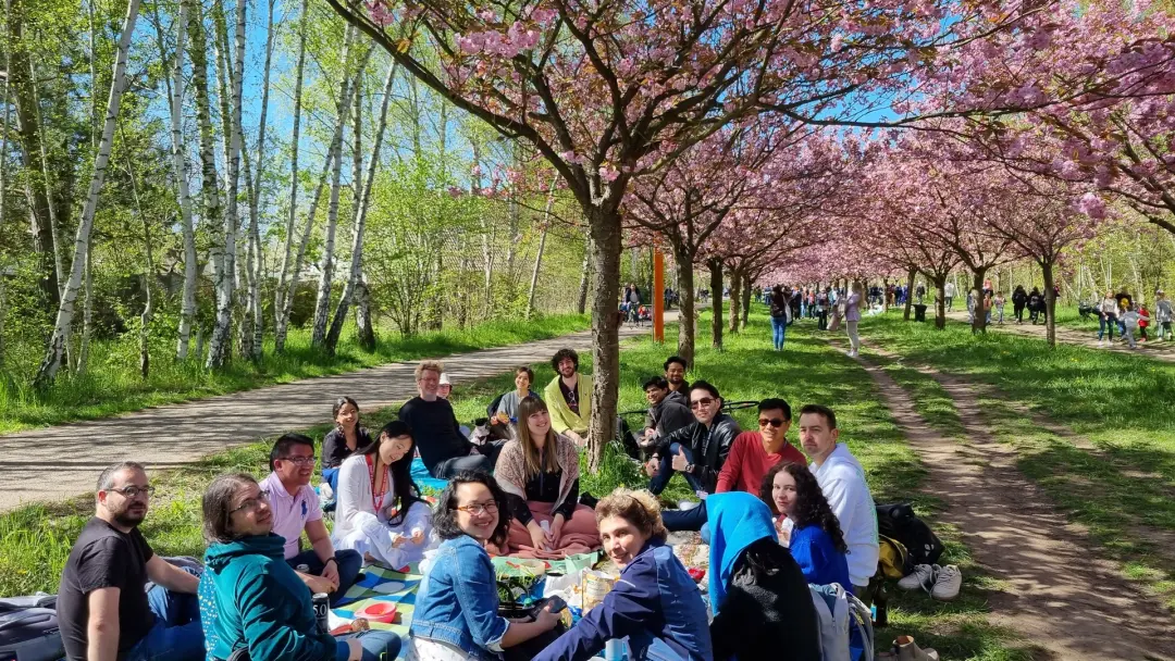 🌸Hanami@TV Asahi cherry blossom alley🌸テレビ朝日さくら平和通り🌸