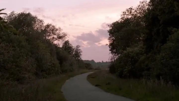 Evening Walks