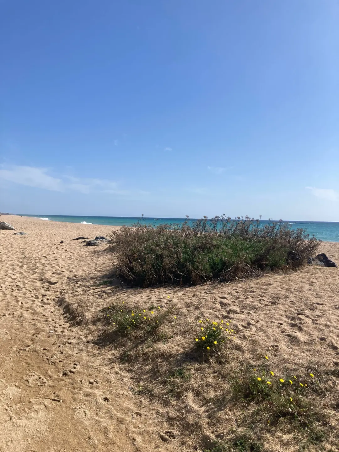 🏖️🩲👙 Entre calas y rincones curiosos de Calella y Pineda de Mar 🌳🏰