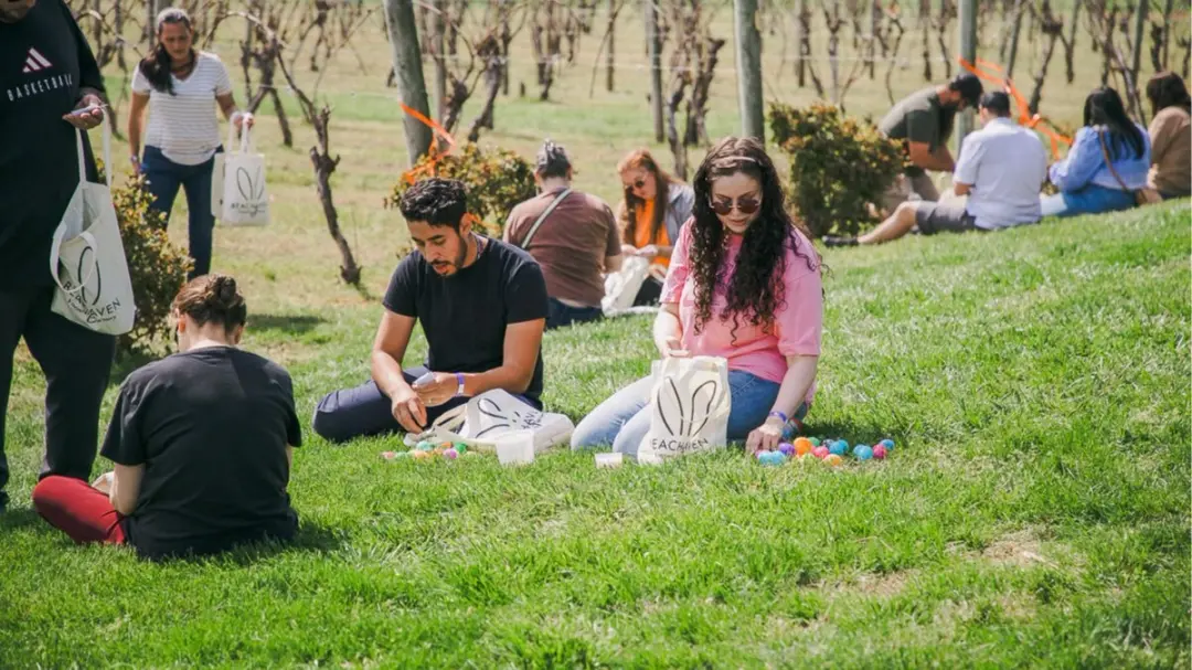 đ§ș International Easter Picnic & More (read description)