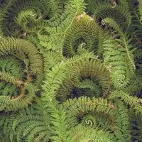 Conscious Connected Breathwork with Anna & Lyndsey