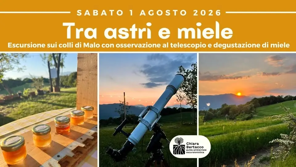 TRA ASTRI E MIELE | Escursione sui colli di Malo, osservazione al telescopio e degustazione miele 