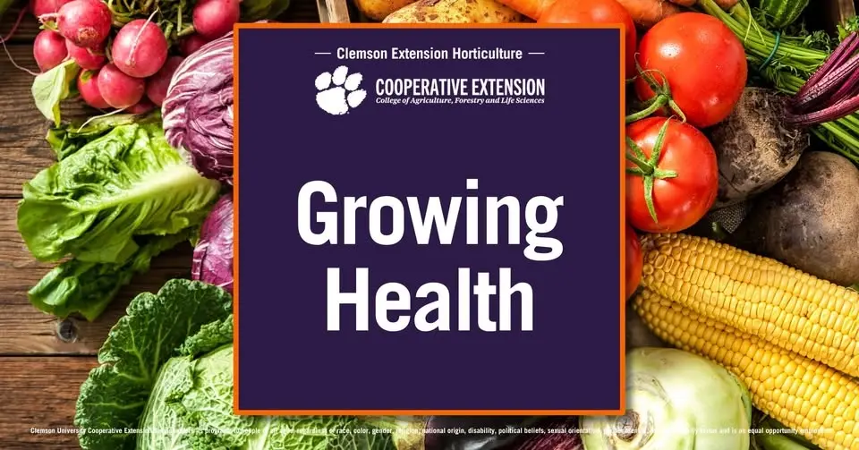 Growing Health: Greenville County