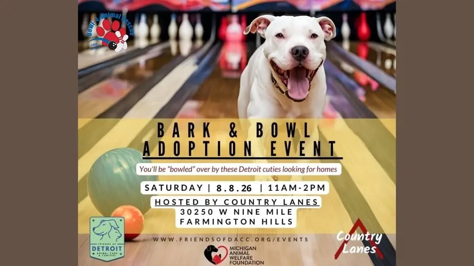 Bark & Bowl Dog Adoption Event