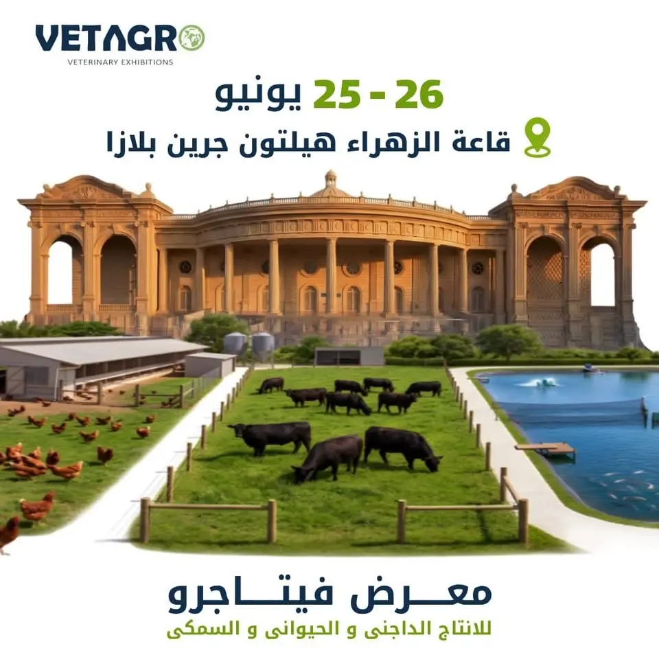 ڤيتاجرو الاسكندريه