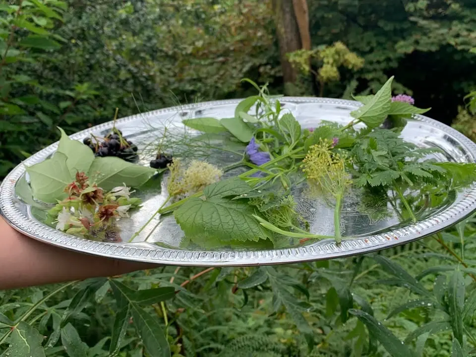 Thee in de tuin - Groengids wandeling met proeverij