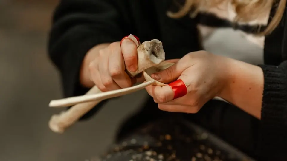Spooncarving for Beginners | With Ana Gomes e Sílvio Soares