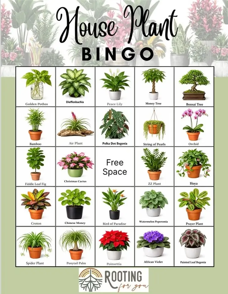 Plant Bingo - June 26 @ 6pm