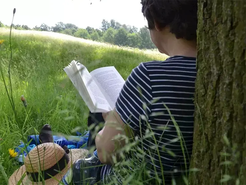 Sommarboken för vuxna