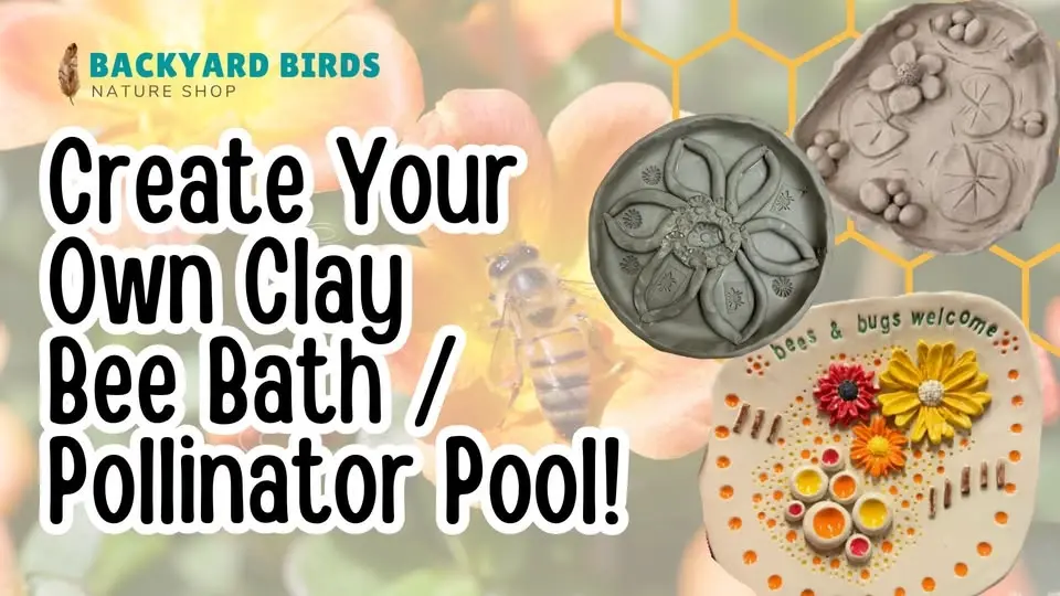 Create Your Own Clay Bee Bath/Pollinator Pool!