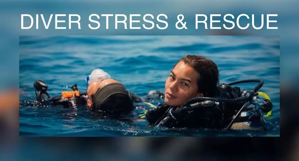 Diver Stress and Rescue